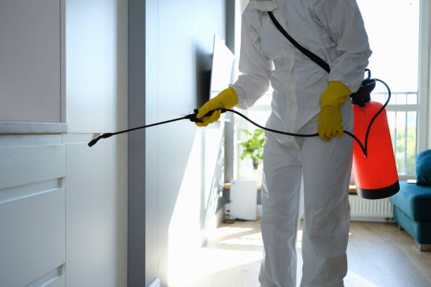 Best Commercial Mold Remediation in Titusville, PA